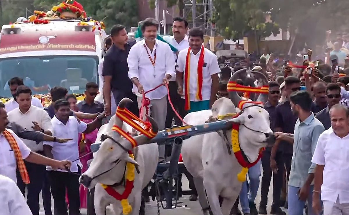 வாக்கு சேகரிக்கும் முதல்வர் விஜய்.