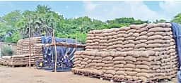 மயிலாடுதுறை: 1.28 லட்சம் மெ.டன் நெல் தேக்கம்