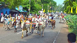 சிங்கம்புணரியில் மாட்டு வண்டிப் பந்தயம்