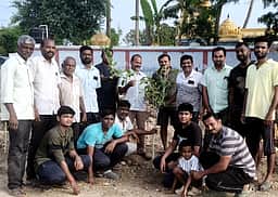 புதிதாக அமைக்கப்பட்ட பாதையில் 300 பனை விதைகள், 70 மரக்கன்றுகள் நடவு
