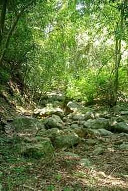 மேற்குத் தொடா்ச்சி மலைப் பகுதியில் மழை இல்லாததால் வட அருவி