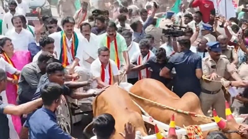 தாராபுரம் பிரசாரம்: மாட்டுவண்டியில் சென்று வாக்கு சேகரித்த முதல்வர் விஜய்!