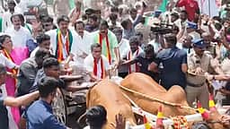 தாராபுரம் பிரசாரம்: மாட்டுவண்டியில் சென்று வாக்கு சேகரித்த முதல்வர் விஜய்!