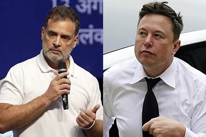 rahul replies elon