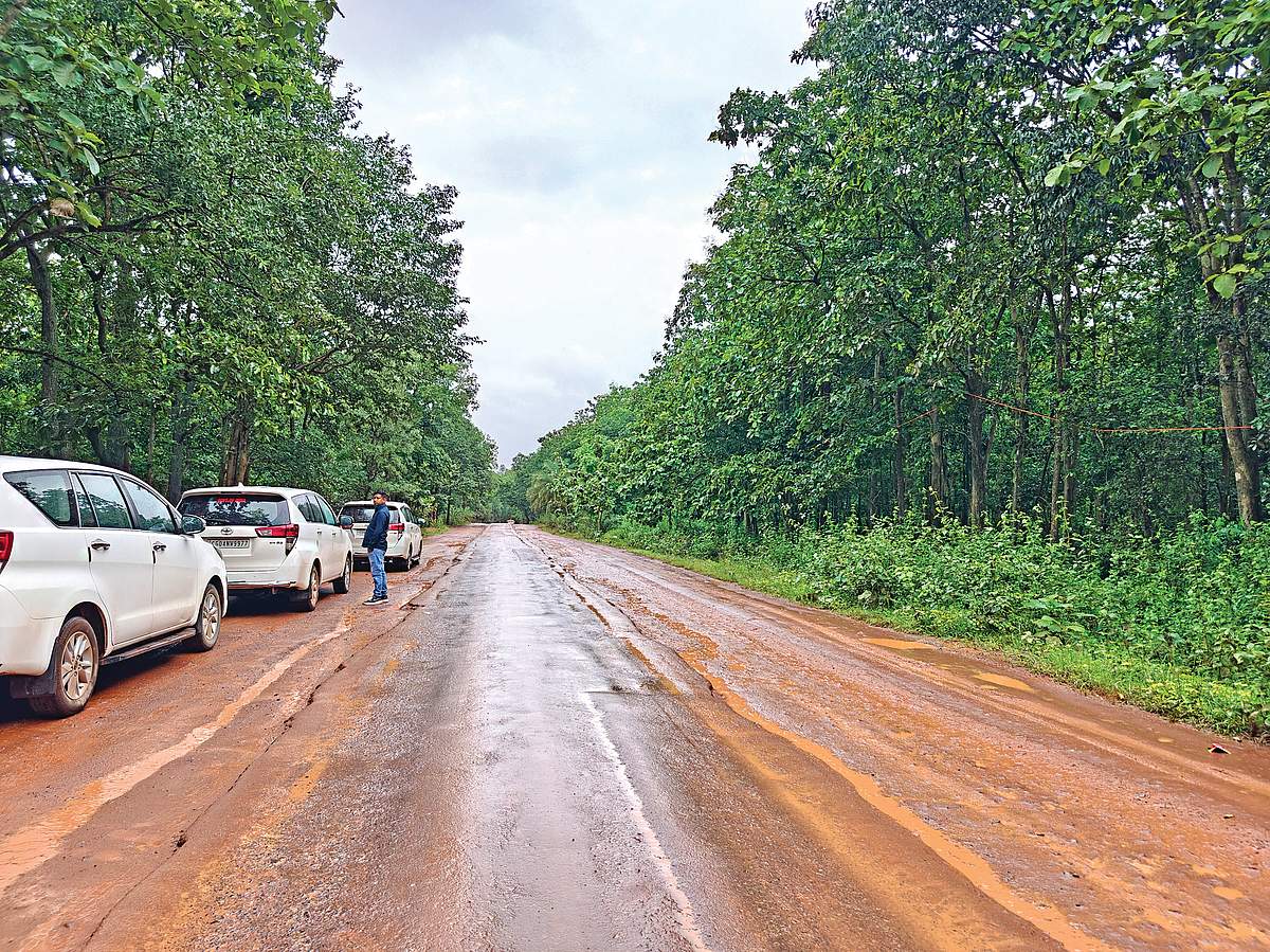 பசுமைக்காடுகளில் மீண்டும் இயல்பு வாழ்க்கை