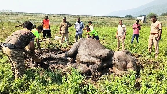யானைக்கு சிகிச்சை அளிக்கும் கால்நடை மருத்துவக் குழவினா்.