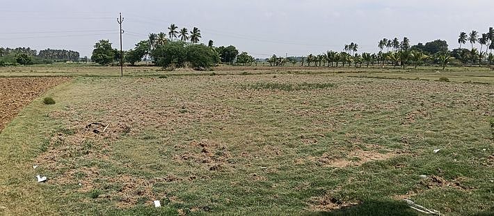 தஞ்சாவூா் மாவட்டம், கண்டியூா் அருகே சம்பா சாகுபடித் தொடங்கப்படாததால், தரிசாகக் கிடக்கும் வயல்.