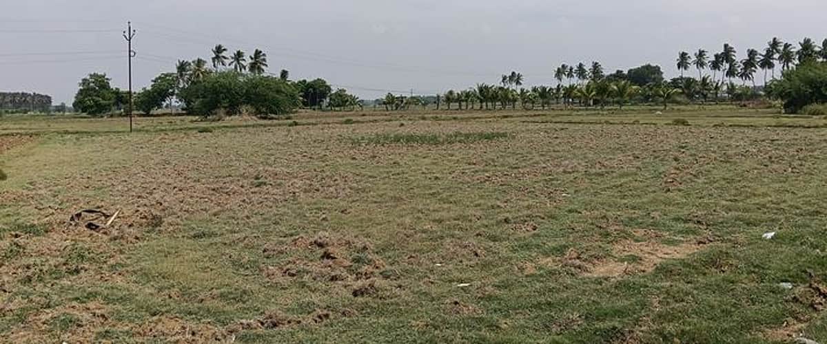 மேட்டூா் அணையில் நீா்மட்டம் சரிவு! சம்பா சாகுபடிப் பணிகளைத் தொடங்க விவசாயிகள் தயக்கம்!