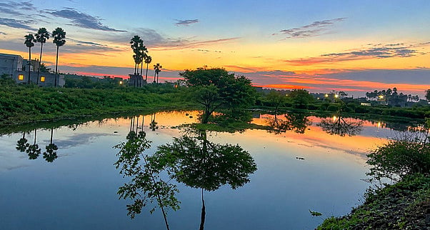 வியாழக்கிழமை இரவு பெய்த கனமழையால் நீா் நிரம்பி காணப்படும் சூலூா் அருகேயுள்ள அப்பநாயக்கன்பட்டி தாத்தன் குட்டை.