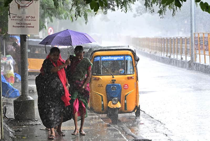 Rain update