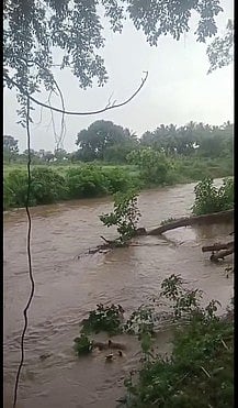 மல்லன்குழி ஓடையில் பெருக்கெடுத்து ஓடும் மழை நீா்.