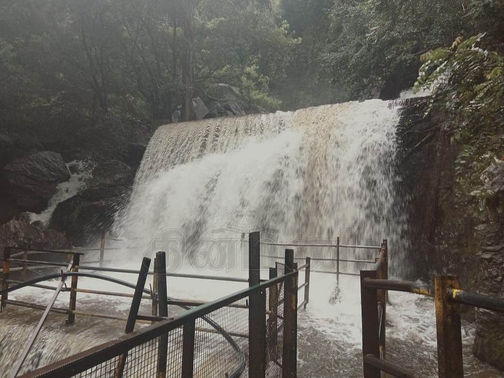 சுருளி அருவியில் வெள்ளப்பெருக்கு: சுற்றுலா பயணிகளுக்கு 4-வது நாளாக தடை!