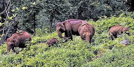 கண்களை விற்று...