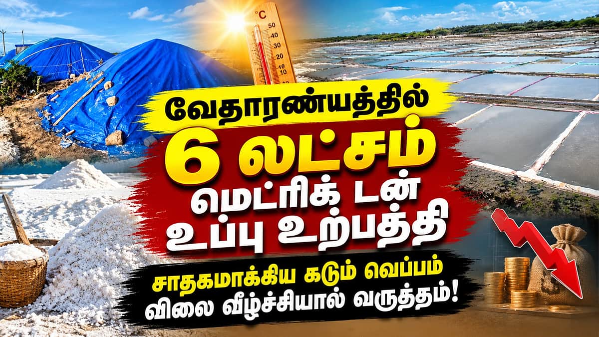 வேதனையில் வேதாரண்யம் உப்பளத் தொழிலாளர்கள் | Vedaranyam | Salt |  Rain
