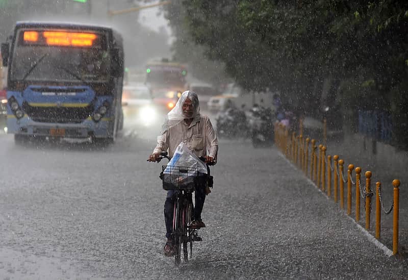 Rain