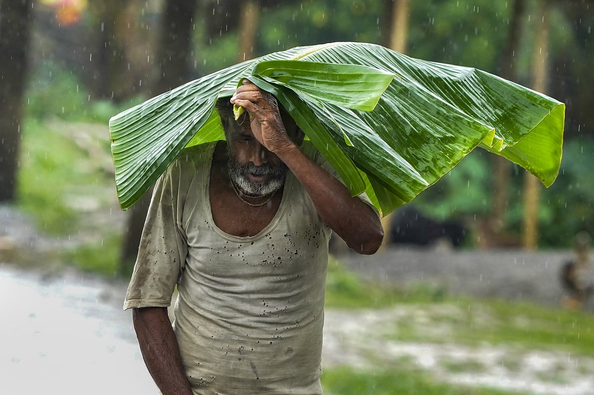 வானிலை: திருவண்ணாமலை, கள்ளக்குறிச்சியில் அதிகபட்ச மழை!