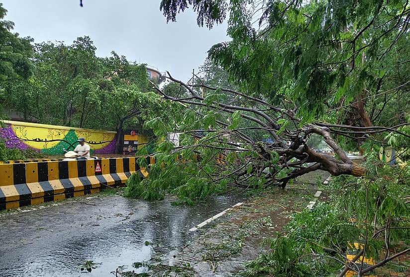 கரையைக் கடந்தது "அர்னாப்' புயல்: ஆந்திரத்தில் 7 பேர் உயிரிழப்பு - மீட்புப் பணிகள் தீவிரம் 