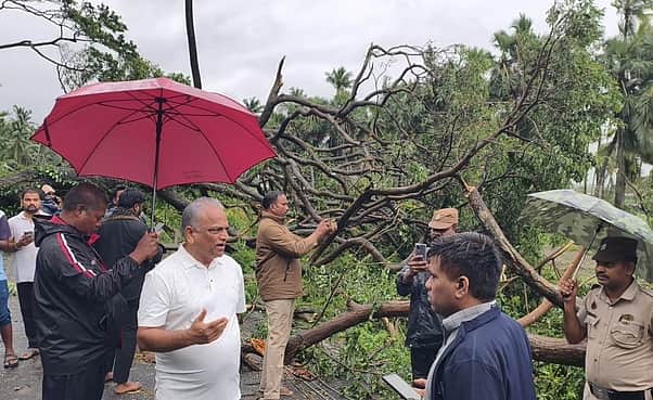 ஏனாமை புரட்டிப்போட்ட  அா்னாப் புயல்: மின் கம்பங்கள், மரங்கள் சாய்ந்தன- போக்குவரத்து முடங்கியது