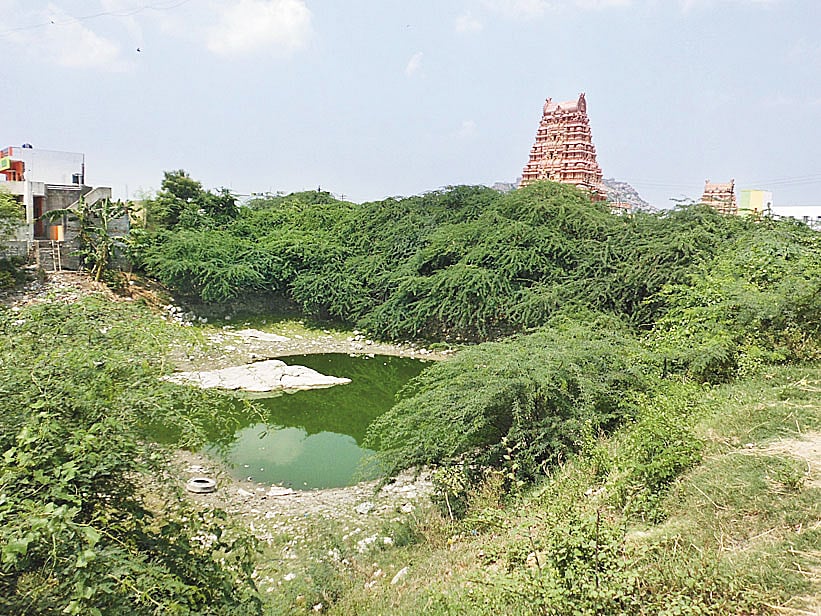 ஆக்கிரமிப்பில் செஞ்சி அருணாசல ஈஸ்வரர் குளம்!