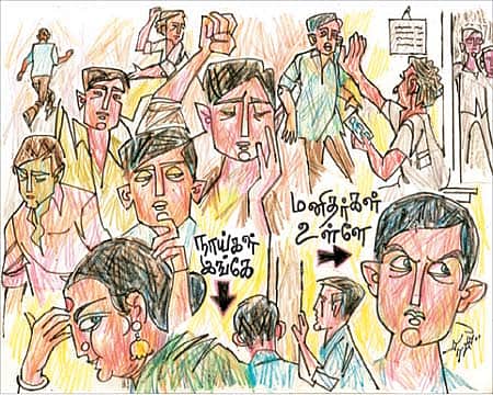 நகரத்து நாய்கள்