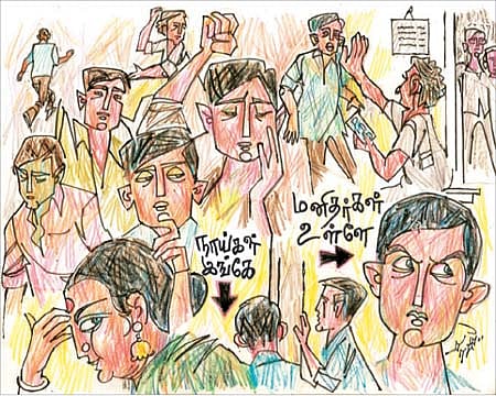 நகரத்து நாய்கள்