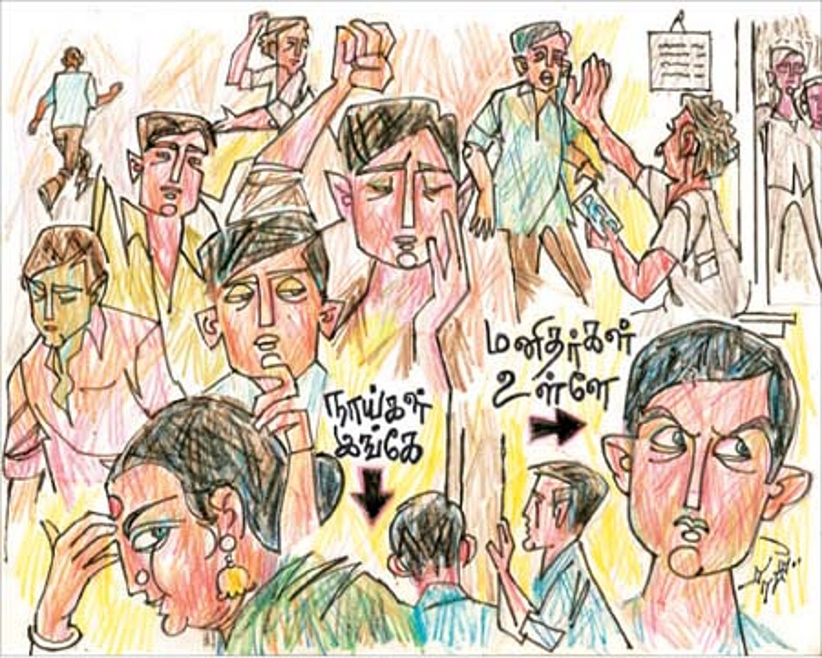 நகரத்து நாய்கள்