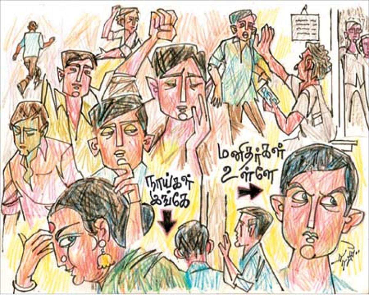 நகரத்து நாய்கள்