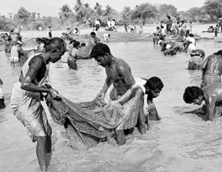 வெள்ளை வீசப்பட்ட குளம்