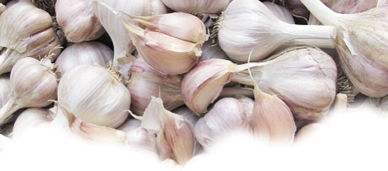 ஆயுள்காக்கும் ஆயுர்வேதம்: வாய் வழியாகச் சுவாசிப்பதை நிறுத்த...