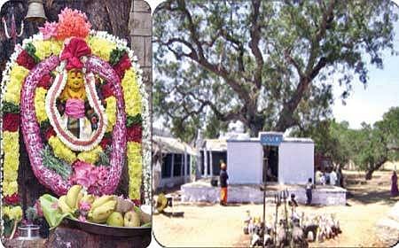 பலன்தரும் பரிகாரத் தலம்