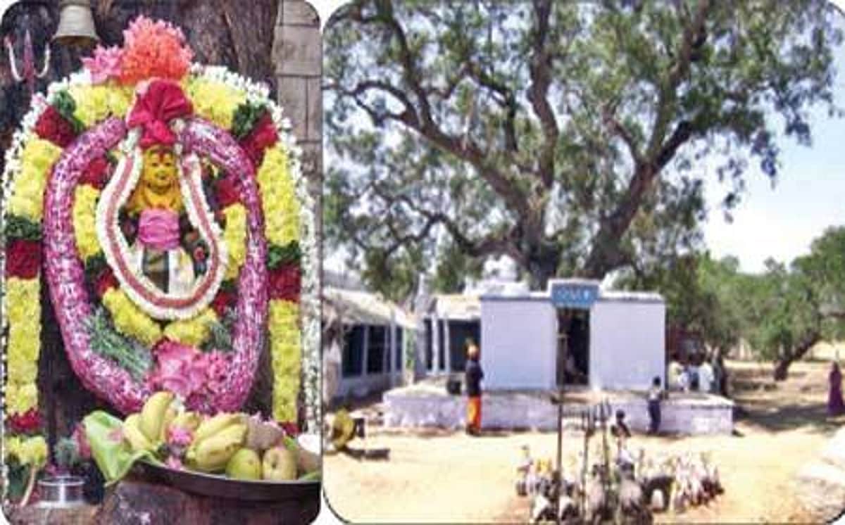 பலன்தரும் பரிகாரத் தலம்