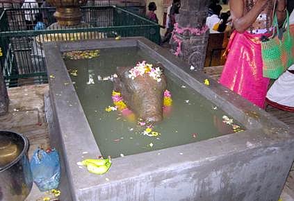 மழை வேண்டி திருநள்ளாறு ஸ்ரீ தர்பாரண்யேஸ்வரர் கோவிலில் நந்திக்கு வருண ஜபம்