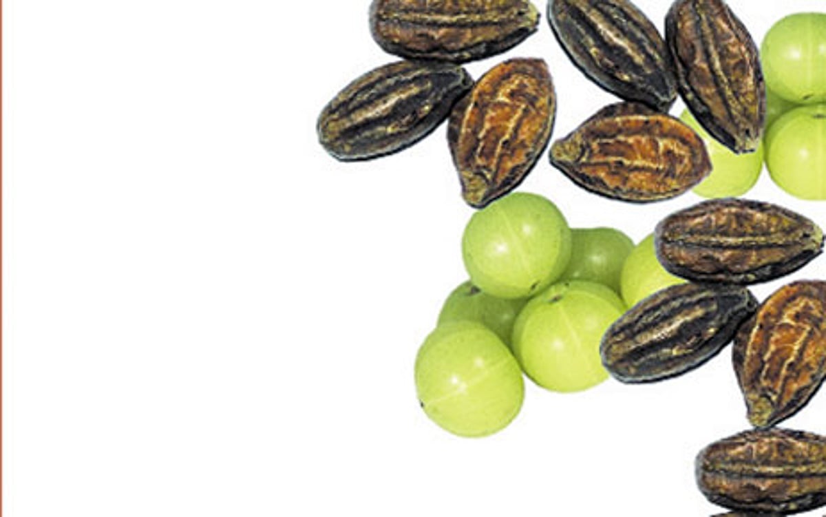 ஆயுள்காக்கும் ஆயுர்வேதம்: ஆறாத புண்ணை ஆற்ற...!