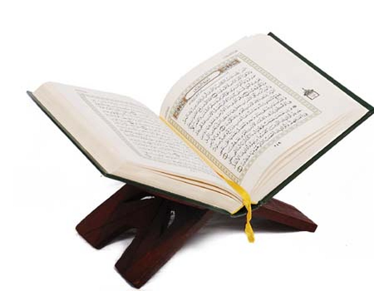 தண்டனையிலிருந்து மீளுவோம்!