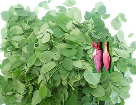 ஆயுள் காக்கும் ஆயுர்வேதம்: உடல் சூட்டினால் வரும் தும்மல் நீங்க...