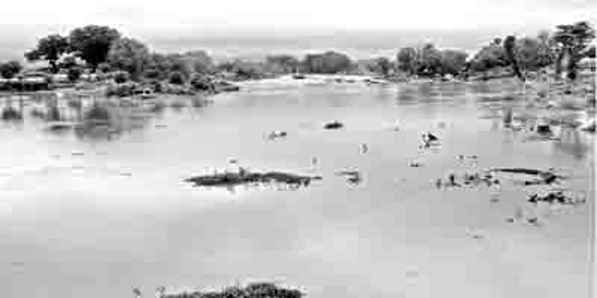 மழைக் காலத்தில் உபரிநீரைச் சேமிக்க தேவை தடுப்பணைகள்!