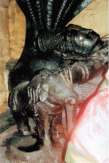 ஆனைக்கு அருளிய ஆதிமூலம்! - நத்தம் ஆதிமூலப் பெருமாள் திருக்கோயில்!