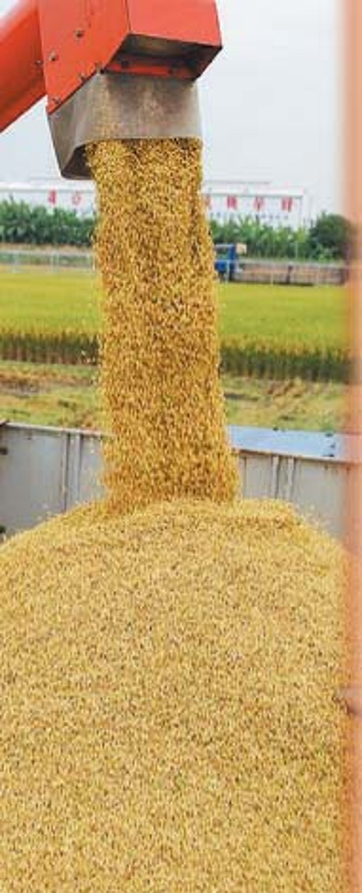 பாரம் - சுமக்க சுமக்கத்தான் புரியும்!