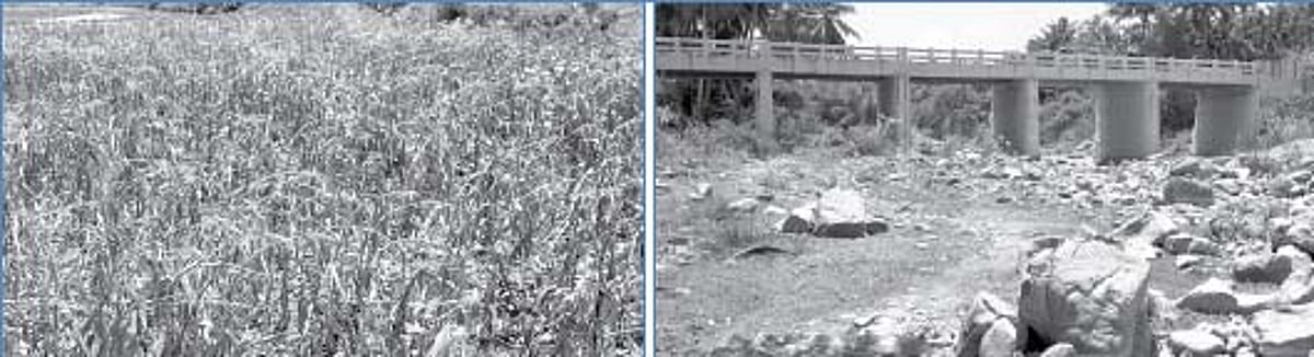 வறட்சியின் பிடியில் சேலம் மாவட்டம்