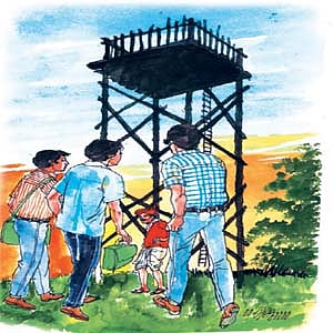 காட்டுக்குள்ளே கொண்டாட்டம்-19