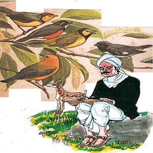 காட்டுக்குள்ளே கொண்டாட்டம்!-20