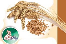 ஆயுள் காக்கும் ஆயுர்வேதம்: உடல் சுத்தத்தைத் தரும் சிகிச்சை முறைகள்!