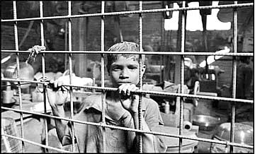 பூக்களைப் பறிக்காதீர்கள்