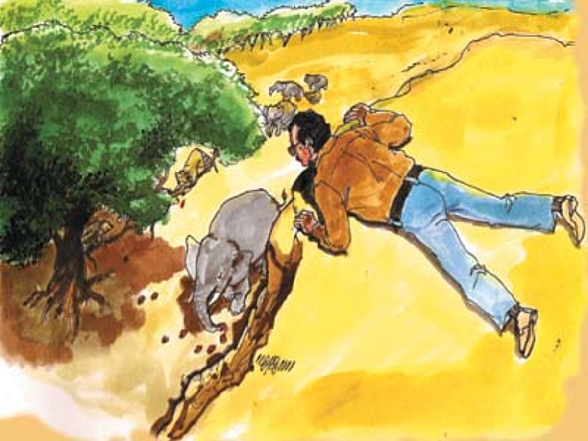 காட்டுக்குள்ளே கொண்டாட்டம்!-16