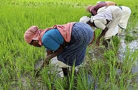 மேலூரில் ஒருபோக விவசாயிகள் ஊர்வலம் : போராட்டம் அறிவிப்பு