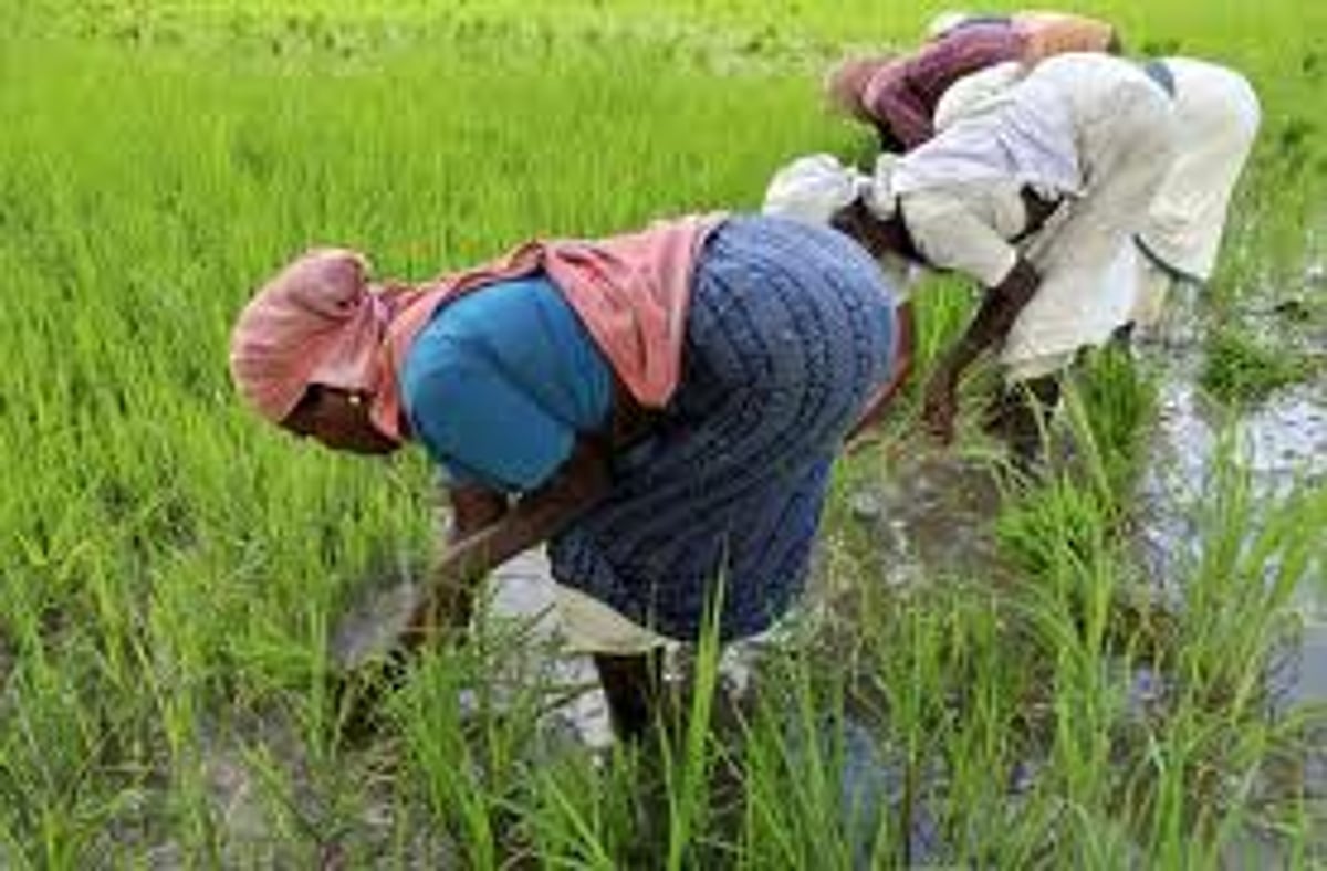 மேலூரில் ஒருபோக விவசாயிகள் ஊர்வலம் : போராட்டம் அறிவிப்பு