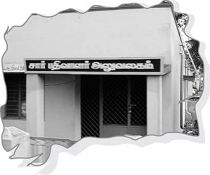 பெண்ணல்ல பெண்ணல்ல ஊதாப்பூ!