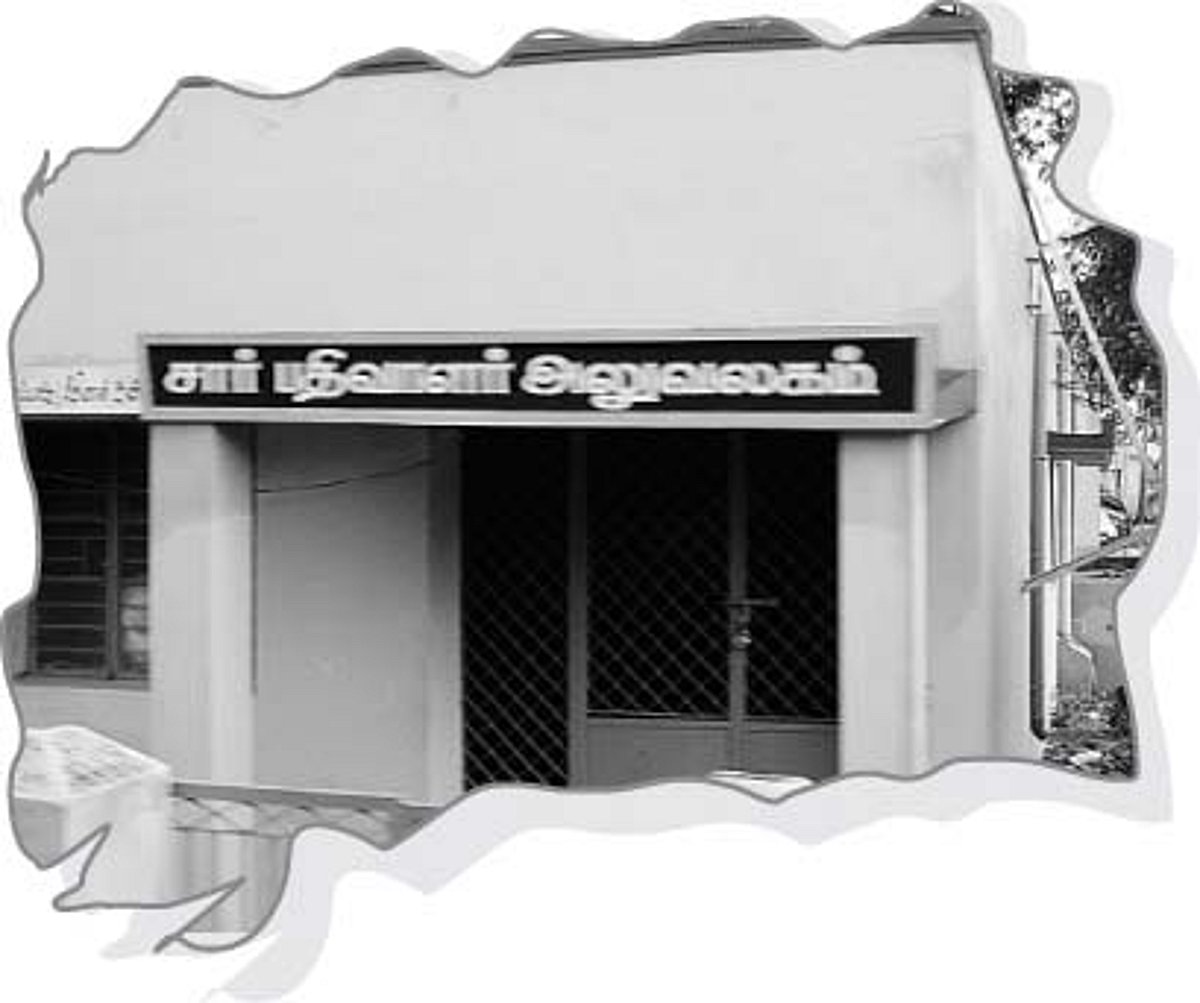 பெண்ணல்ல பெண்ணல்ல ஊதாப்பூ!