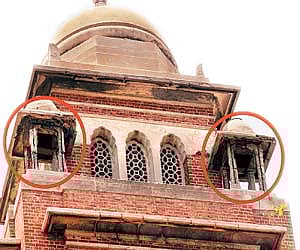 தொங்கும் தோட்டமாக மாறும் சென்னைப் பல்கலைக்கழகம்