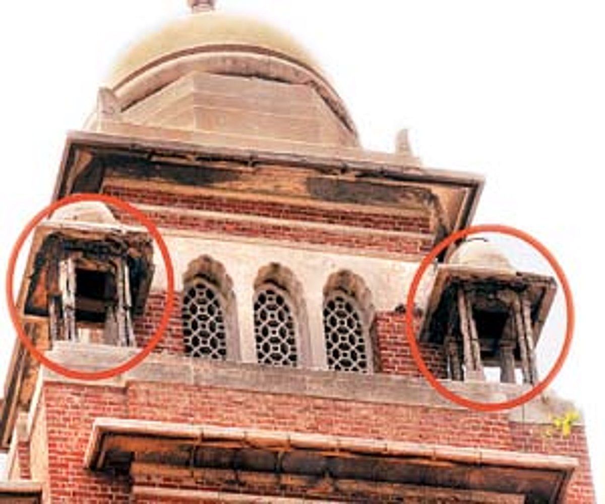 தொங்கும் தோட்டமாக மாறும் சென்னைப் பல்கலைக்கழகம்